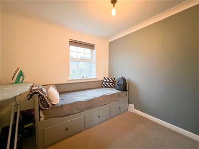 Picture 11